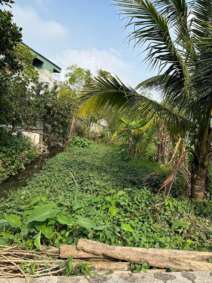 Đất nền chính chủ tại Mỹ Hưng, Thanh Oai - 3 lô từ 30m² đến 94.5m², sổ đỏ trao tay!