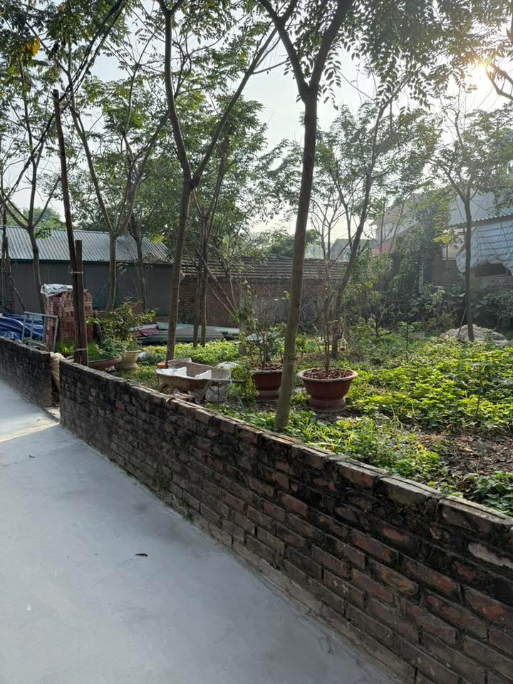 Đất nền chính chủ Đoan Hạ, Thanh Thủy 136m² giá chỉ 1 tỷ - Đầu tư sinh lời!