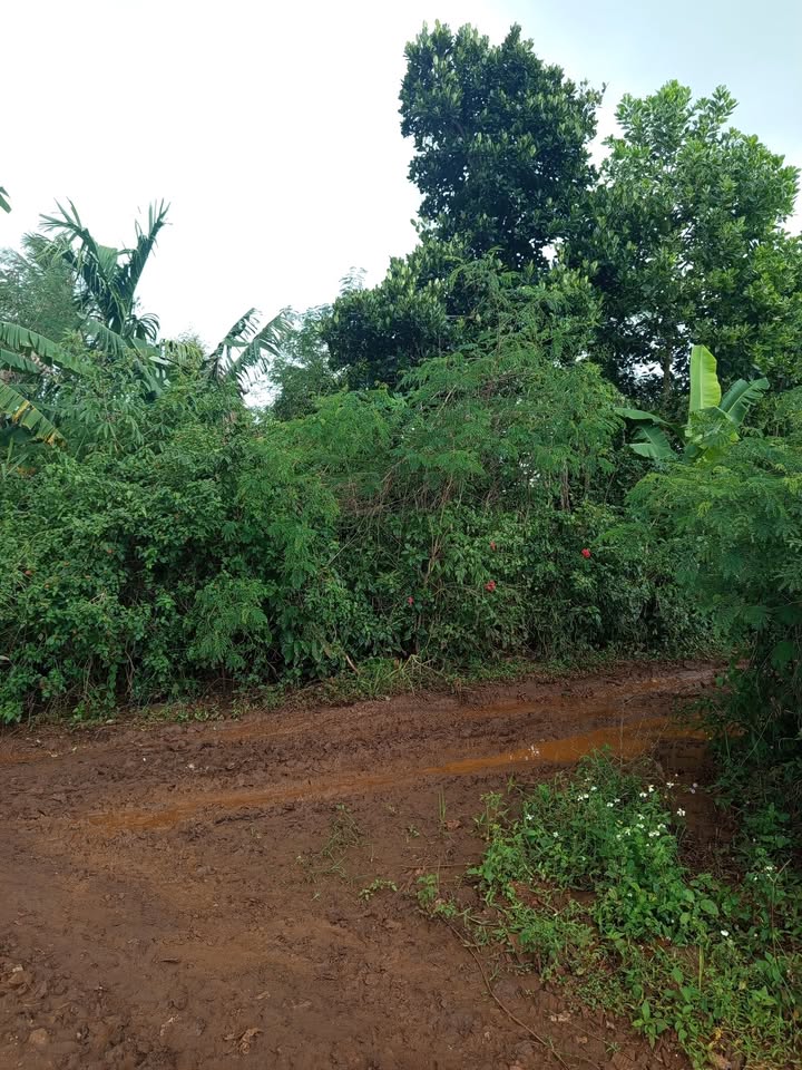 Đất thổ cư 378m² tại Ea Kar giá chỉ 900 triệu - Sổ hồng chính chủ!