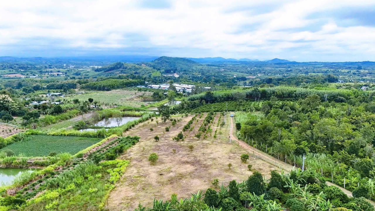 Đất nền thổ cư tại thôn 9, thị trấn Ea Kar 16,000m² - Giá thỏa thuận hấp dẫn!