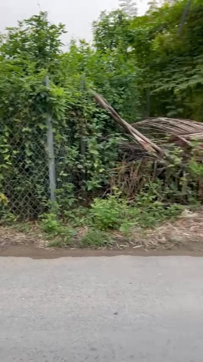 Đất thổ cư Tân Quý Tây, Bình Chánh 156m² giá 3.8 tỷ - Sổ đỏ chính chủ!