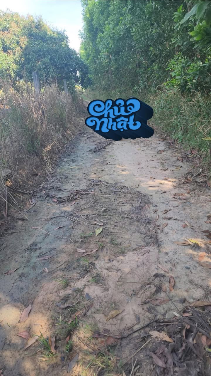 Đất nền Phước Tân 1344m² giá 1.5 tỷ - Sổ đỏ chính chủ, đầu tư sinh lời!