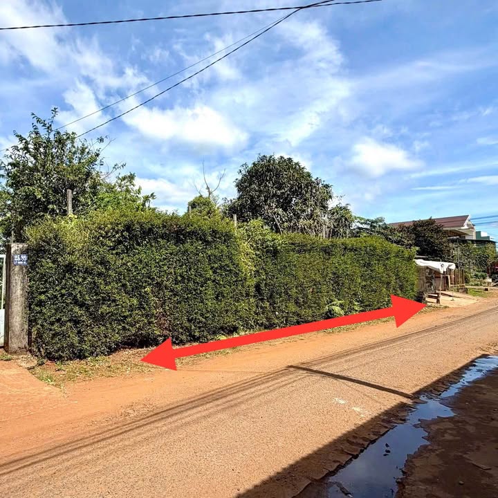 Đất nền hẻm 89 Lý Nam Đế, Trà Bá, Pleiku 136m² giá 1.25 tỷ - Đầu tư sinh lời cao!