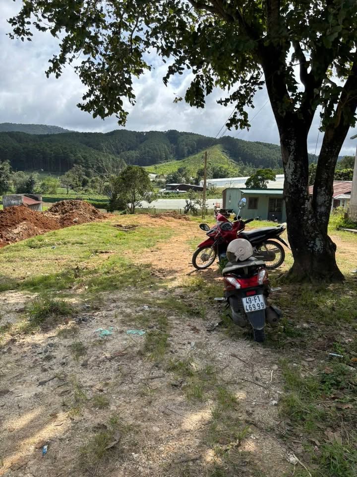 Đất mặt đường 412 Ka Đô, Đơn Dương 286m² giá 1.45 tỷ - Thích hợp kinh doanh ngay!