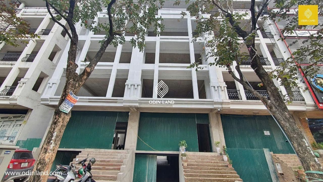 Mặt bằng kinh doanh Trần Thái Tông, Cầu Giấy 168m² - Vị trí đắc địa, phù hợp mọi mô hình!