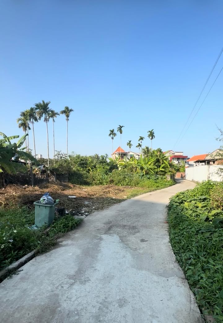 Đất nền Lâm Động Thủy Nguyên 55m² giá 1 tỷ - Khu dân cư đông đúc, tiện ích đầy đủ!