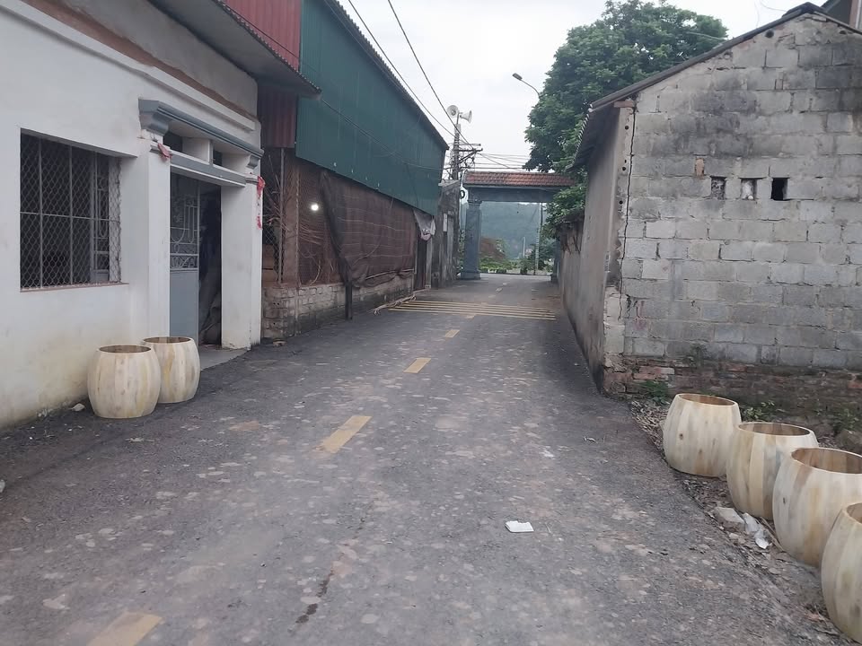 Đất nền Tiên Sơn Duy Tiên 130m² - Ngõ ô tô, Giá đầu tư hấp dẫn!