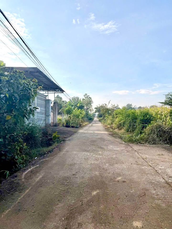 Đất nền Cư Êbur, Buôn Ma Thuột 162m² giá 699 triệu - Cơ hội đầu tư sinh lời!