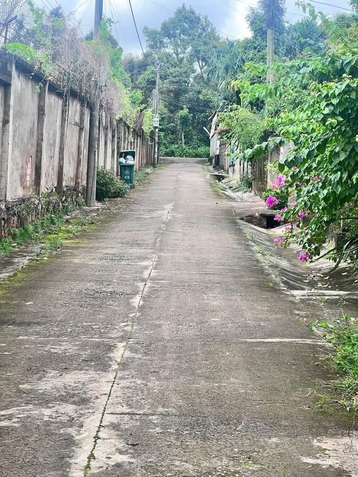 Đất thổ cư Tân Lập Buôn Ma Thuột 150m² giá 900 triệu - Cơ hội sở hữu đất vàng!