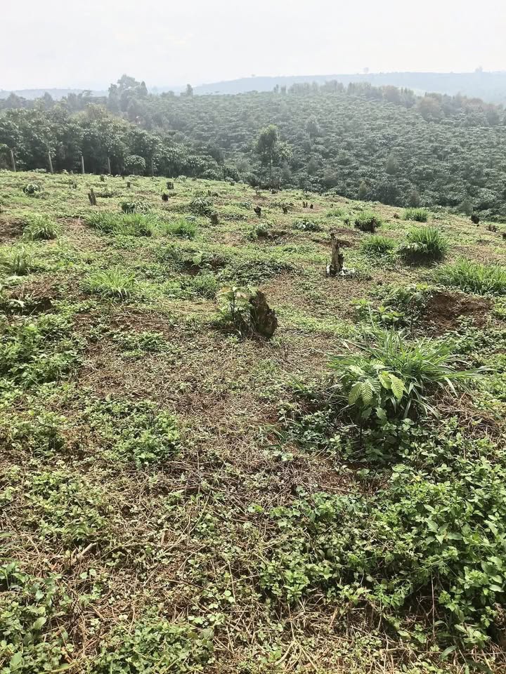 Đất nền thôn 2, xã Lộc An 360m² giá 1.1 tỷ - Đầu tư sinh lời ngay!