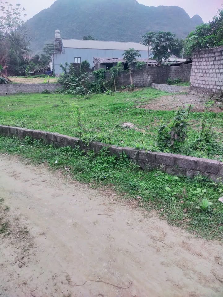 Đất vườn 400m² tại Liên Sơn, Lương Sơn - Giá chỉ 500 triệu!