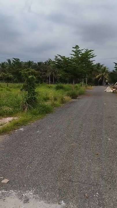 Đất nền Tân Hương 90m² giá 600 triệu - Đường ô tô thuận tiện