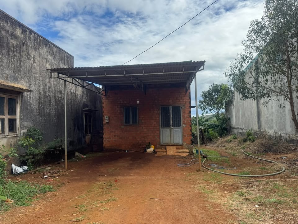 Đất nền chính chủ tại xã Ia Grai 240m² giá chỉ 1 tỷ - Cơ hội đầu tư tuyệt vời!