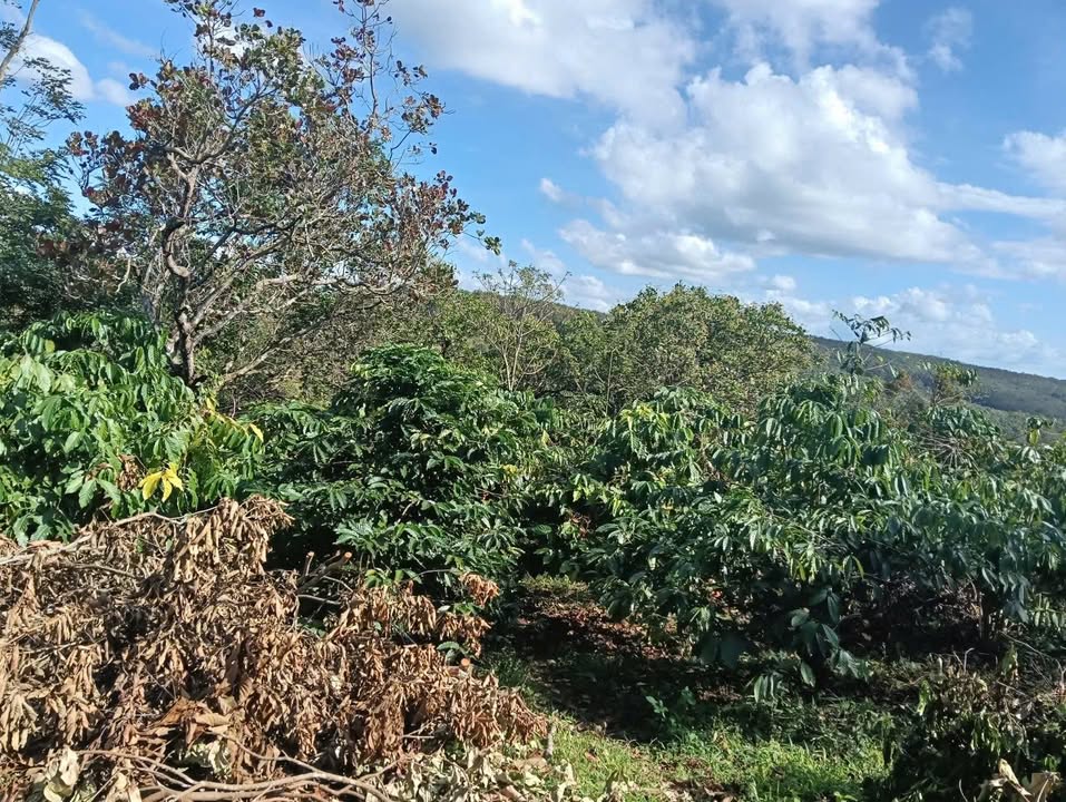 Đất nền Đắk Sin 7142m² giá 2.5 tỷ - Sổ đỏ chính chủ, vị trí đắc địa!