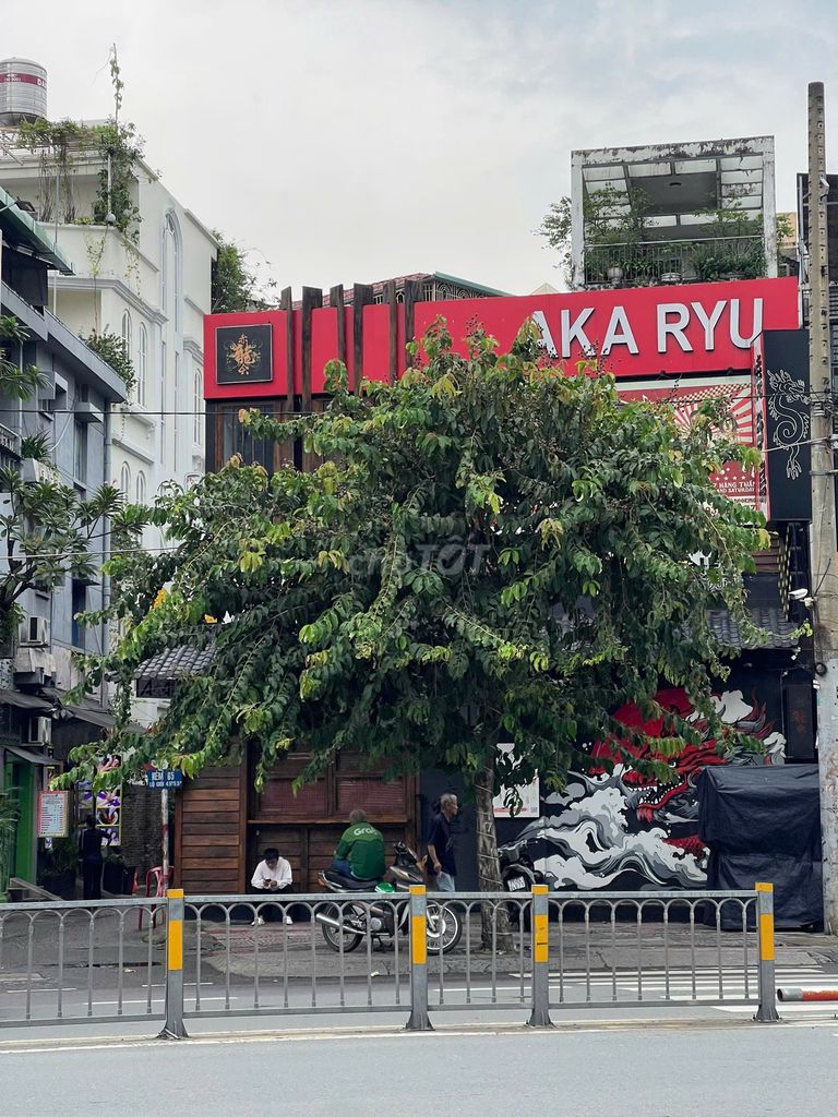 Cho thuê nhà mặt tiền đường Cách Mạng Tháng Tám Quận 1 - Diện tích 350m² giá 110 triệu - Kinh doanh sầm uất!