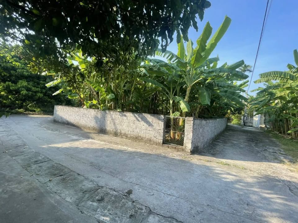 Đất nền Dương Quang, Mỹ Hào 57m² giá 1.4 tỷ - Lô góc 2 mặt tiền thuận lợi!