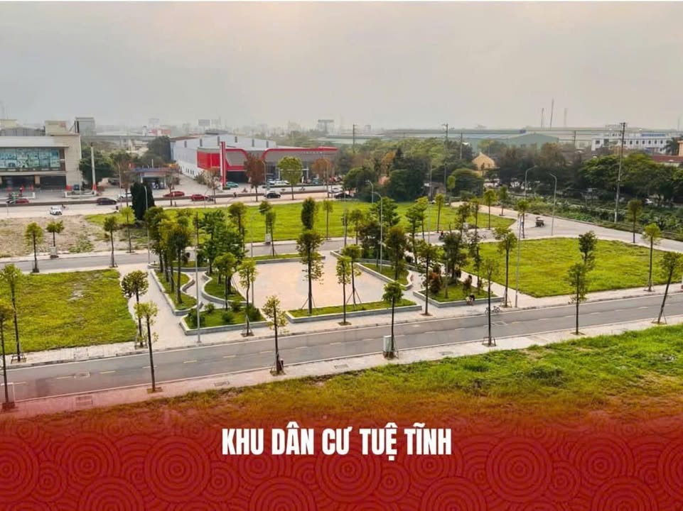 Đất KĐT Tuệ Tĩnh Hải Dương 70m² giá 6x triệu - Sổ đỏ từng lô!