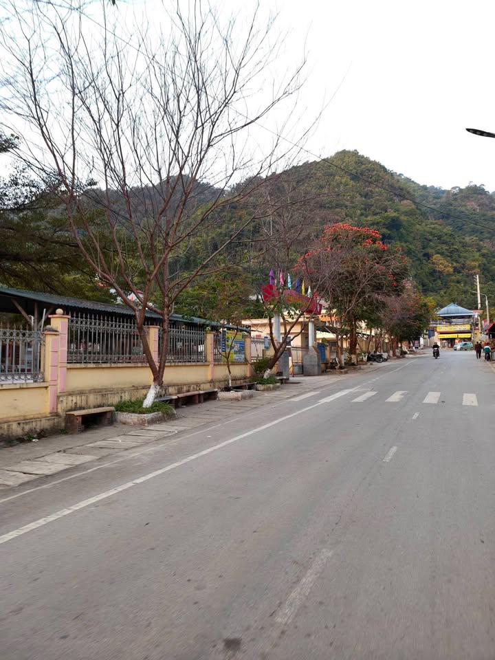 Nhà 2 Tầng Mặt Tiền Đường Nguyễn Hoài Xuân 135m² giá 6 tỷ - Sẵn Sàng Về Ở Ngay!