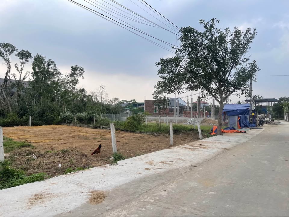 Đất nền Nghi Phong 113m² giá 2.7 tỷ - Vị trí đẹp, hạ tầng hoàn thiện!