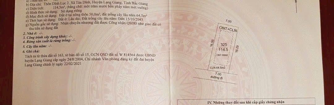 Đất nền Tân Dĩnh Lạng Giang 100m² giá 600 triệu - Cơ hội đầu tư hấp dẫn!