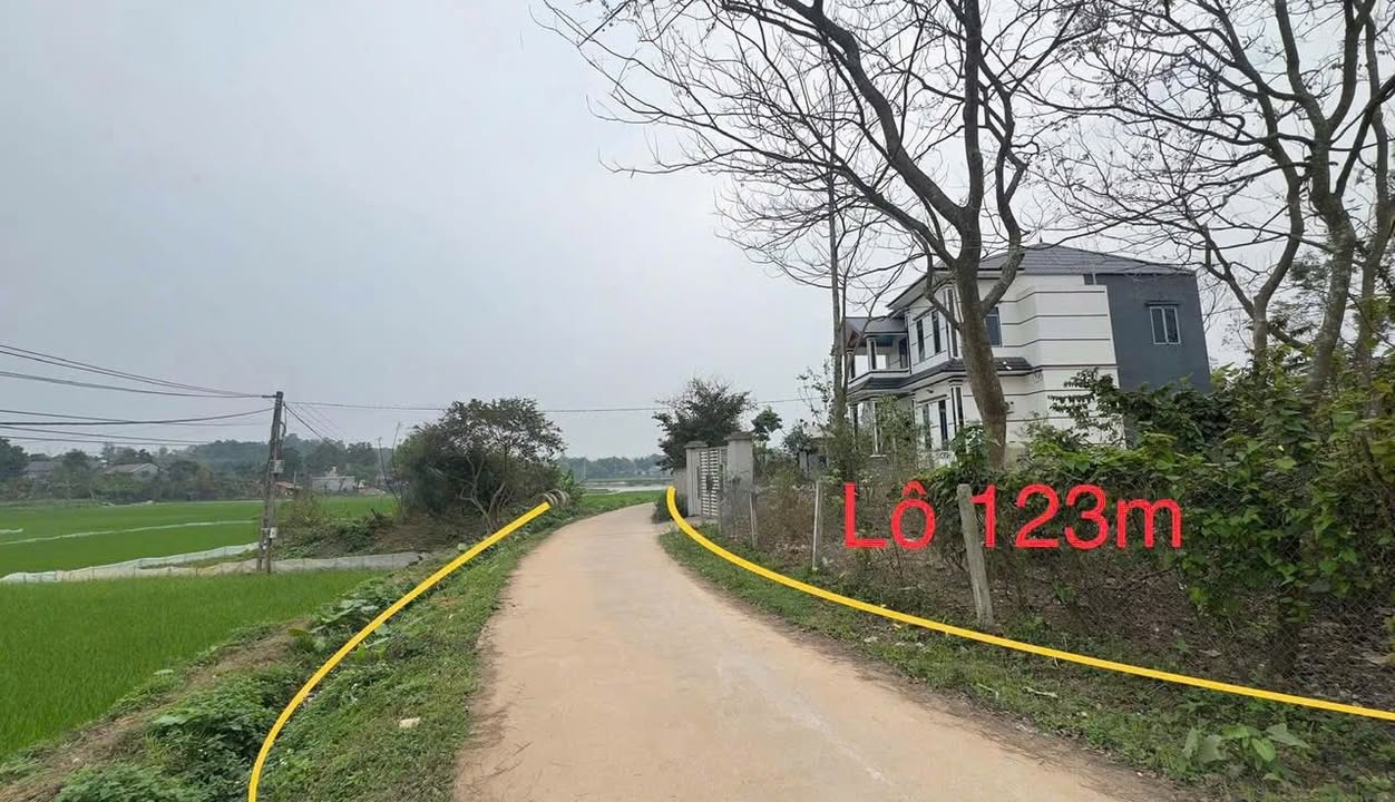Đất nền Kim Long, Tam Dương 123m² giá 700 triệu - View cánh đồng thoáng mát!