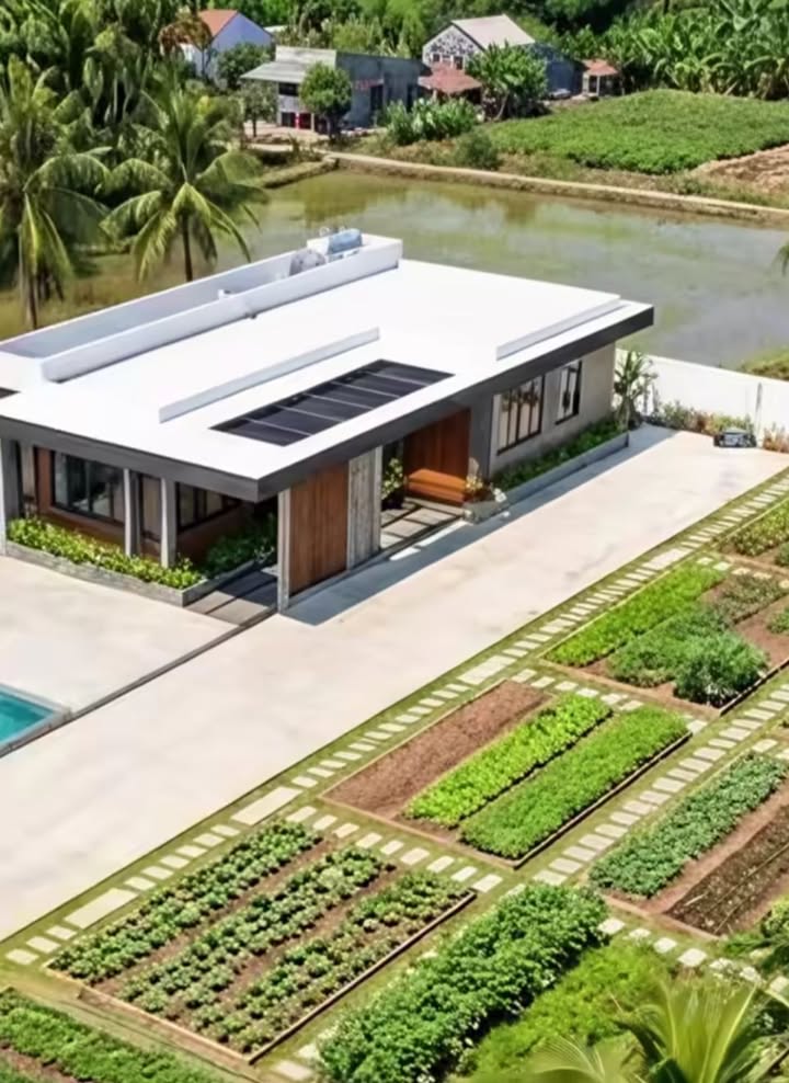 Đất mặt tiền đường Xuân Thới Sơn Hóc Môn 3600m² giá 10.8 tỷ - Cơ hội đầu tư sinh lời!