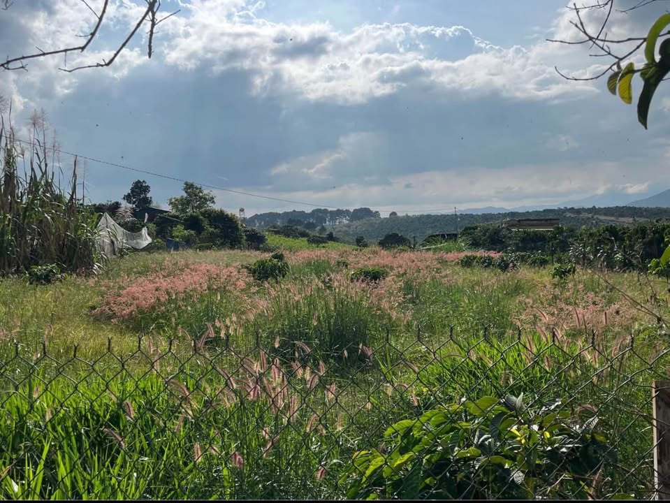 Lô đất Mê Linh Lâm Hà 1500m² giá 2 tỷ - View thoáng, tiềm năng đầu tư!