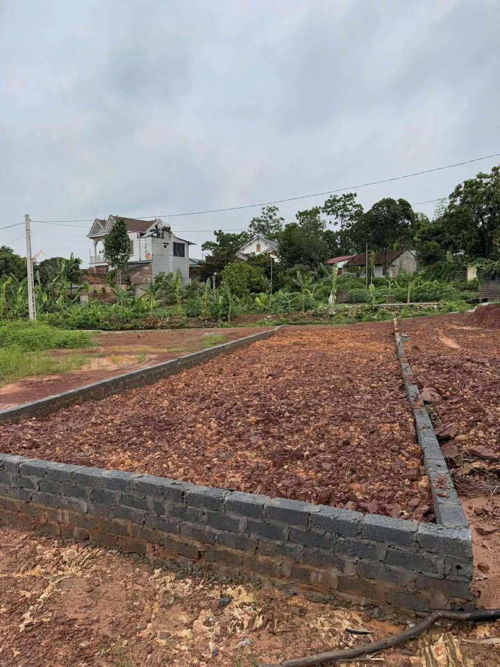 Đất nền Xương Lâm, Lạng Giang 128,6m² giá 1 tỷ - Đầu tư sinh lời hấp dẫn!