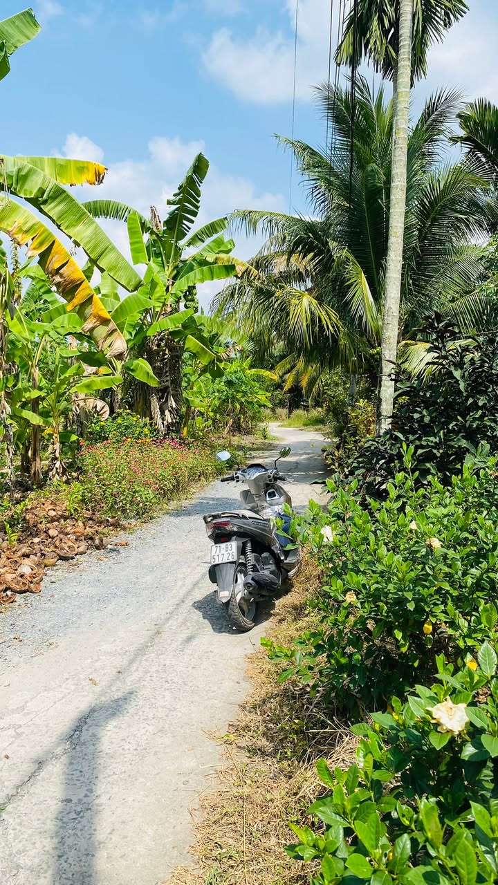 Đất nền xã Phước Thạnh, Châu Thành 540m² giá 999 triệu - Đầu tư lý tưởng!