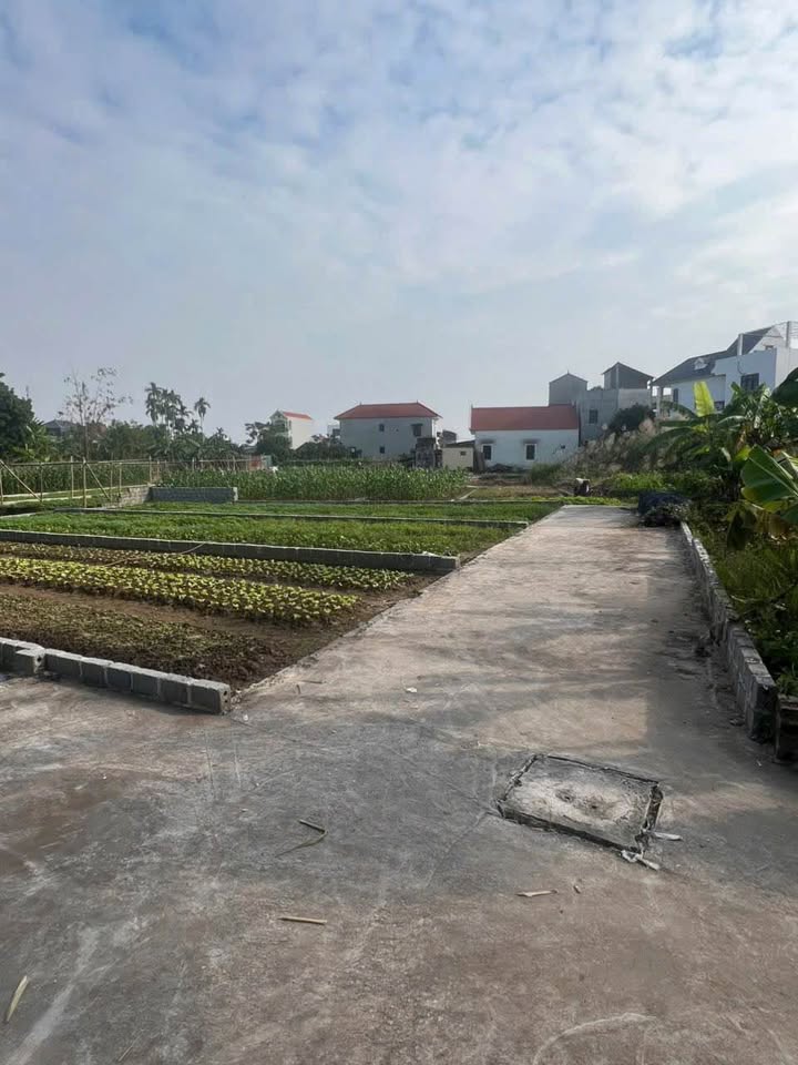 Đất nền Chương Dương Thường Tín 85m² giá 3.114 tỷ - Ô tô vào tận nơi!