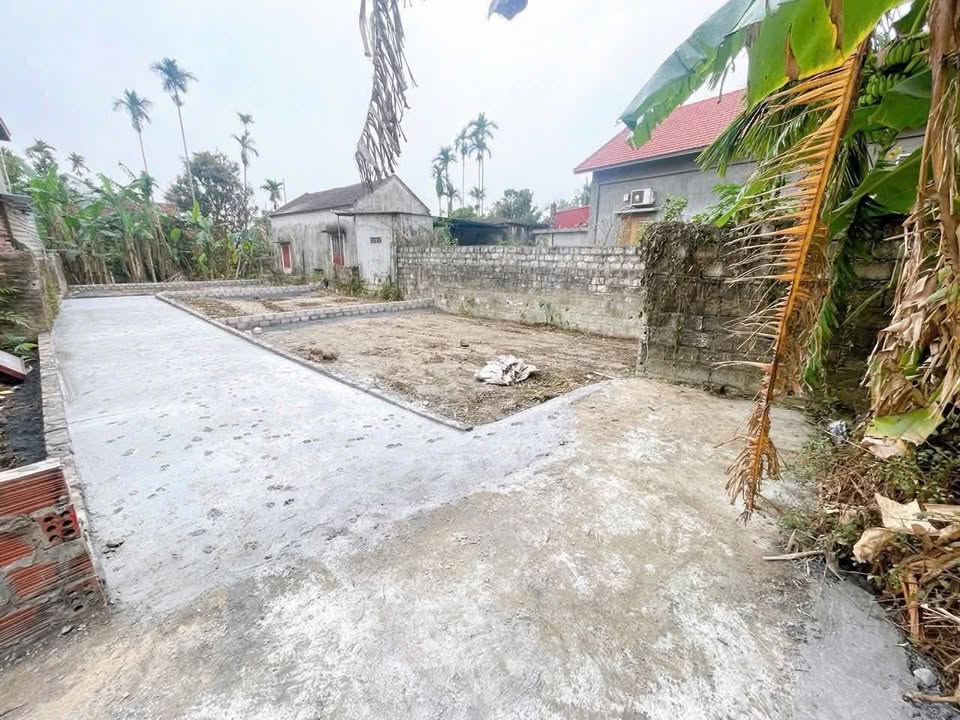 Đất nền Lâm Động - Thủy Nguyên 56m² giá 1 tỷ - Vị trí đắc địa gần chợ!