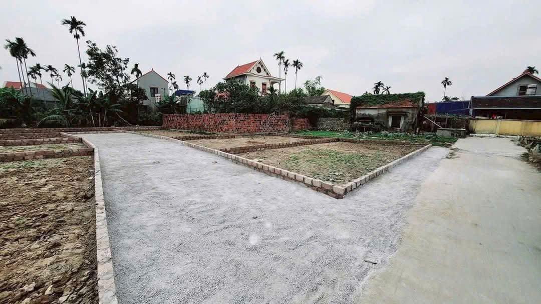 Đất nền phường Hoàng Lâm, Thủy Nguyên 60m² giá chỉ 800 triệu - Vị trí lý tưởng để đầu tư!