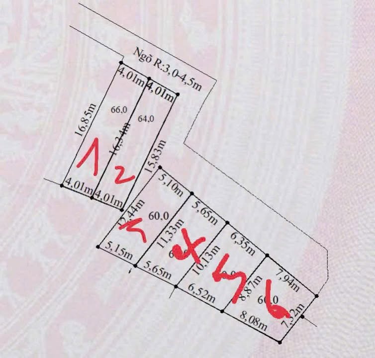 Đất Lâm Động 60m² giá chỉ 800 triệu - Đầu tư sinh lời ngay hôm nay!