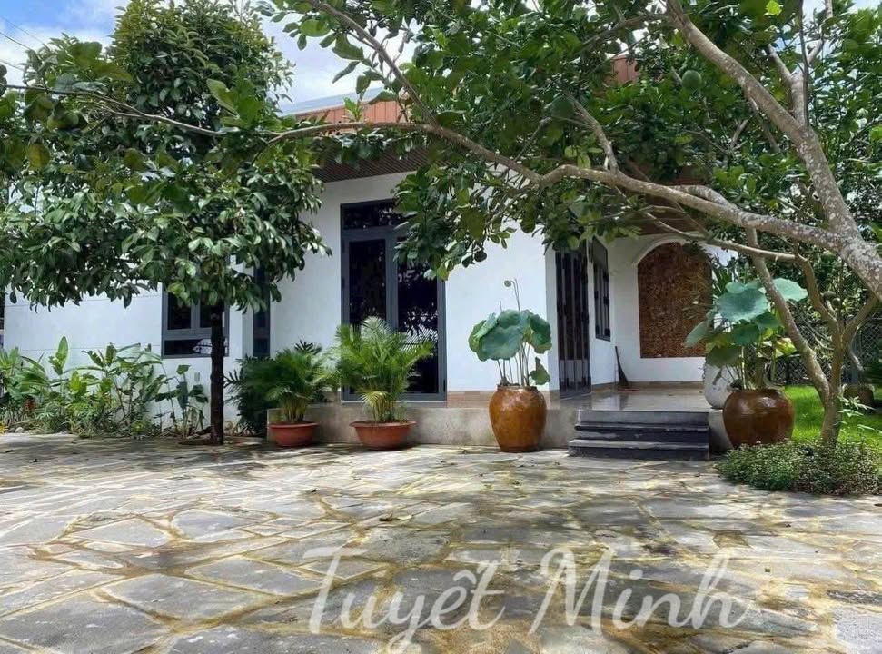 Đất vườn nghỉ dưỡng 2000m² tại Bù Đăng giá 330 triệu - Sổ hồng chính chủ!