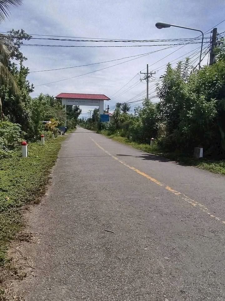 Đất thổ cư 300m² tại Nhơn Nghĩa, Phong Điền - Tiềm năng đầu tư lớn!