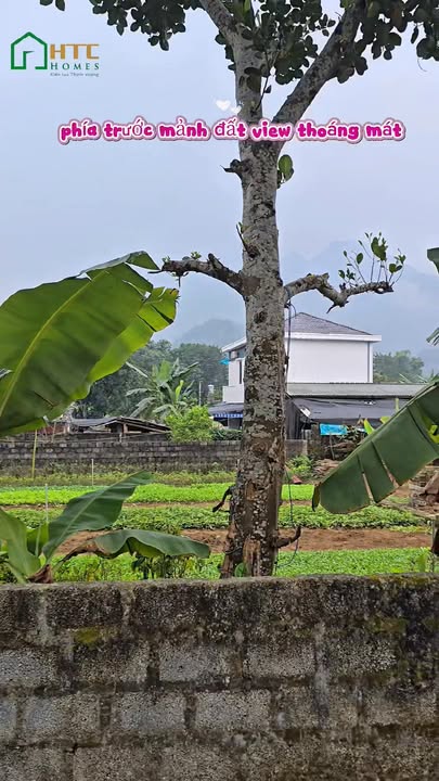 Đất nền Ngọc Đường Hà Giang 92m² giá chỉ 800 triệu - Cơ hội đầu tư vàng!