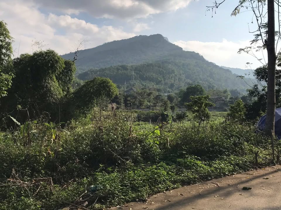 Đất thổ cư Suối Hai Ba Vì 350m² - Gần trường mầm non, giá thỏa thuận!