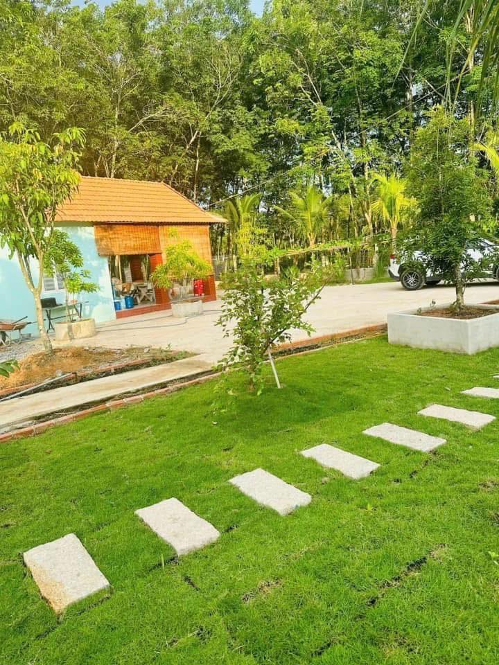 Đất vườn An Điền Bến Cát 1400m² giá 4.5 tỷ - Sẵn sàng thu hoạch ngay!