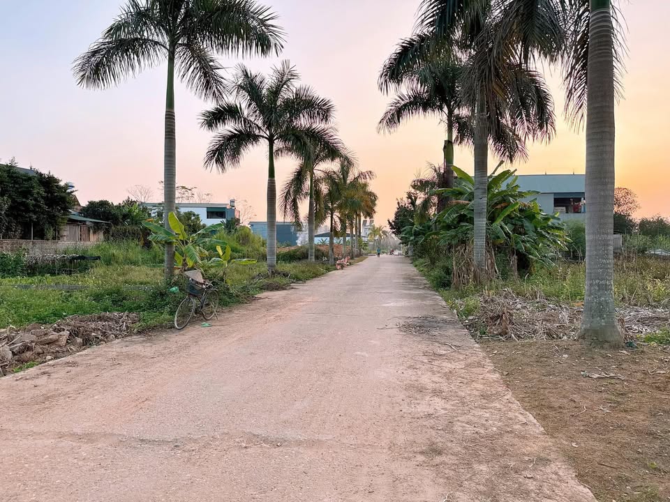 Đất nền Tiên Kiên, Lâm Thao 171m² giá 1.7 tỷ - Chính chủ bán gấp!