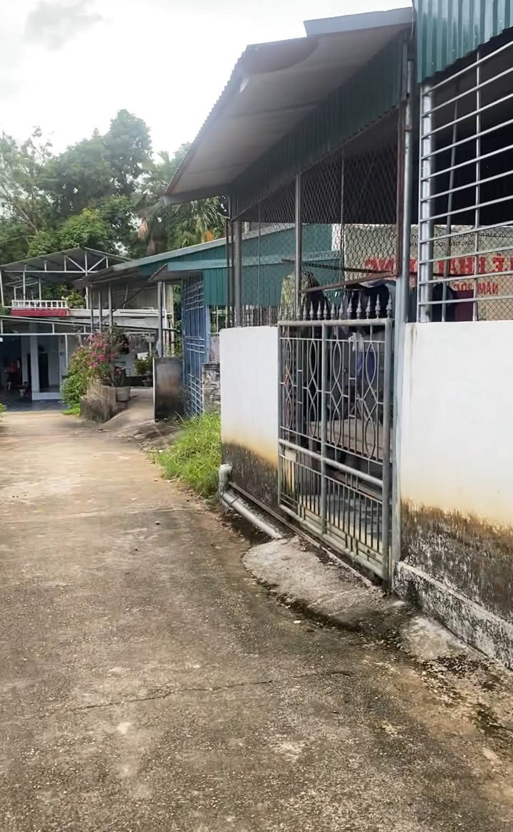 Đất thổ cư tổ 10 An Tường 200m² giá 1.1 tỷ - Gần bệnh viện Phổi, thuận tiện giao thông