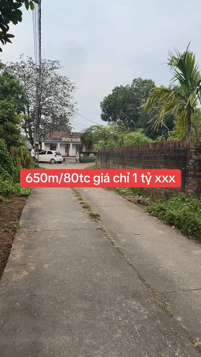 Đất nền Sông Công 650m² giá 1 tỷ - Mặt tiền 12m, cơ hội đầu tư tuyệt vời!