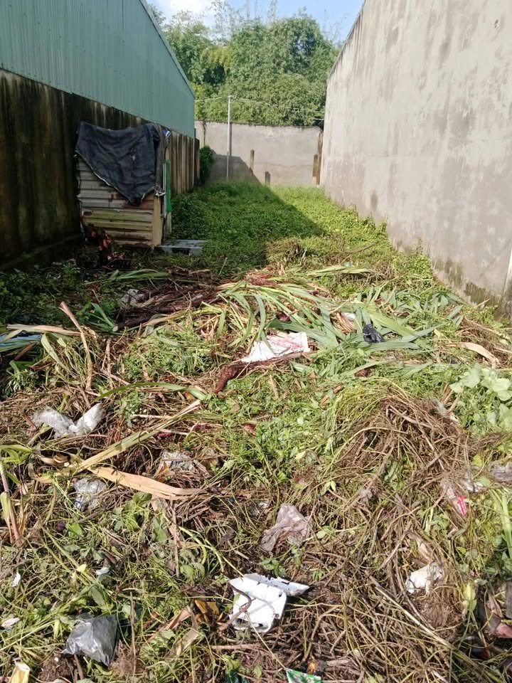 Đất thổ cư Mỹ Yên, Bến Lức 120m² giá 1.3 tỷ - Khu dân cư hiện hữu!