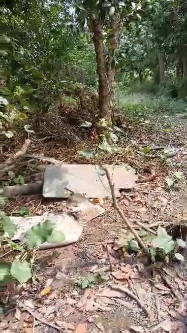 Đất nền Mỹ Chánh, Hải Lăng 140m² giá thỏa thuận - Đầu tư sinh lời cao!