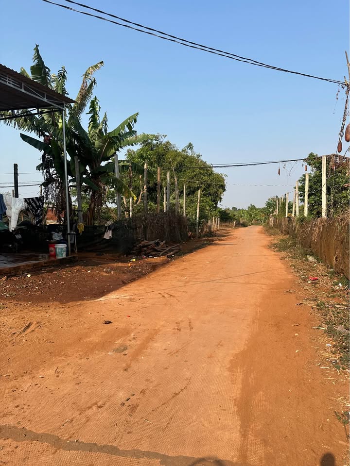 Đất nền Nguyễn Bá Lại 235m² giá thương lượng - Đường bê tông thông tứ hướng!