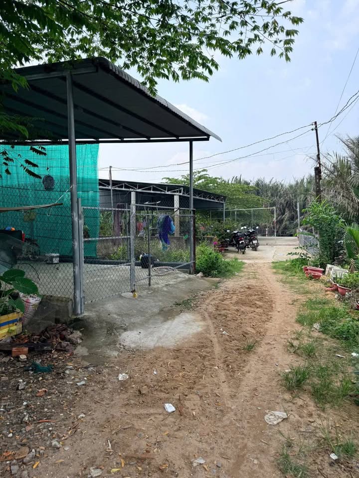 Đất nền thổ cư 100m² tại Bến Cam, Nhơn Trạch - Giá chỉ 500 triệu!