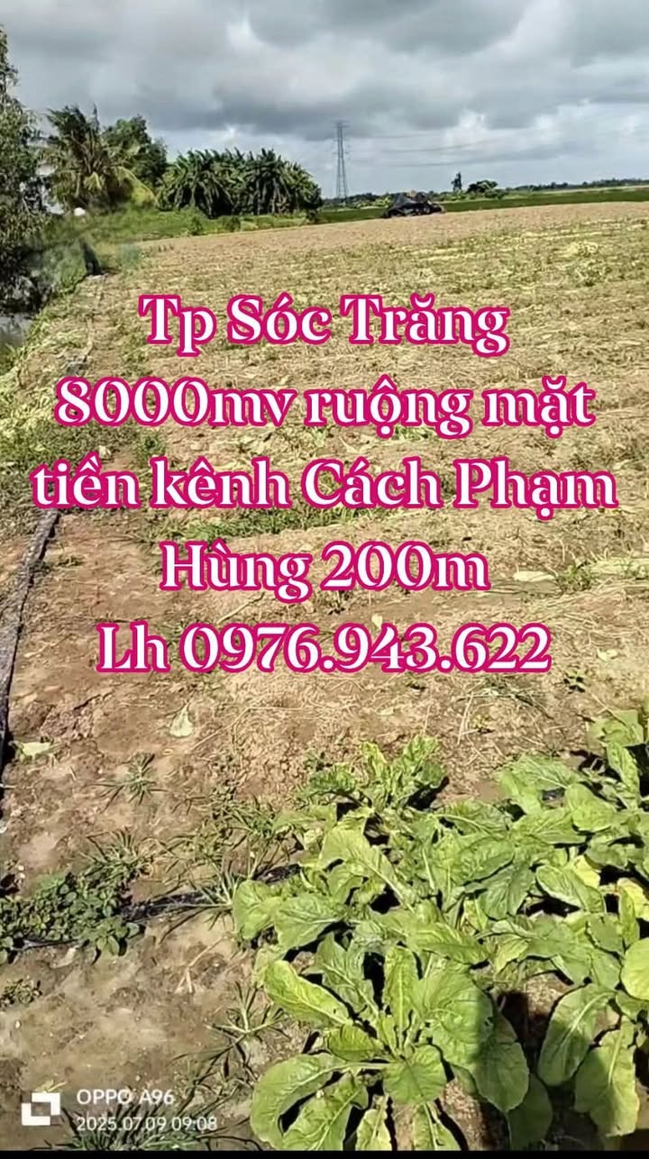Đất nền Sóc Trăng 8000m² giá chỉ 299 triệu - Cơ hội đầu tư sinh lời!