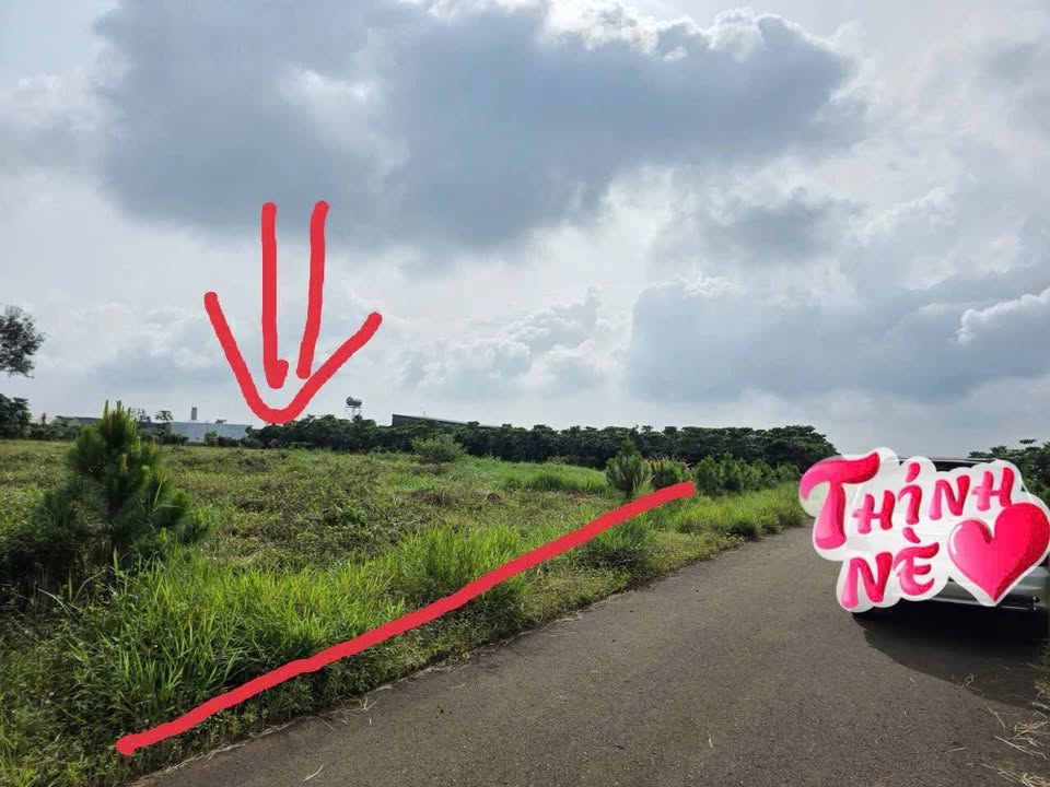 Đất nền Bảo Lộc 1188m² giá chỉ 166.344 tỷ - Đầu tư sinh lời hấp dẫn!