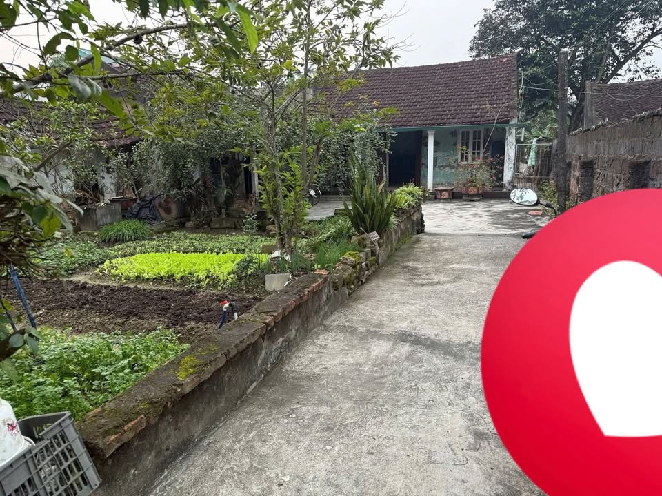 Nhà cấp 4 tại Đông Sơn, Thanh Hóa 750m² - Chính chủ bán với giá thương lượng!