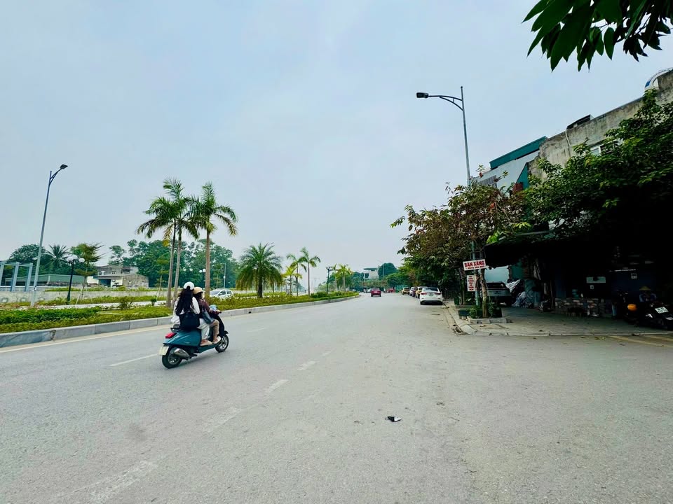 Đất nền Đặng Thai Mai, Ngọc Trạo 203m² giá chỉ 3x triệu - Đường 39m ô tô vào tận nơi!