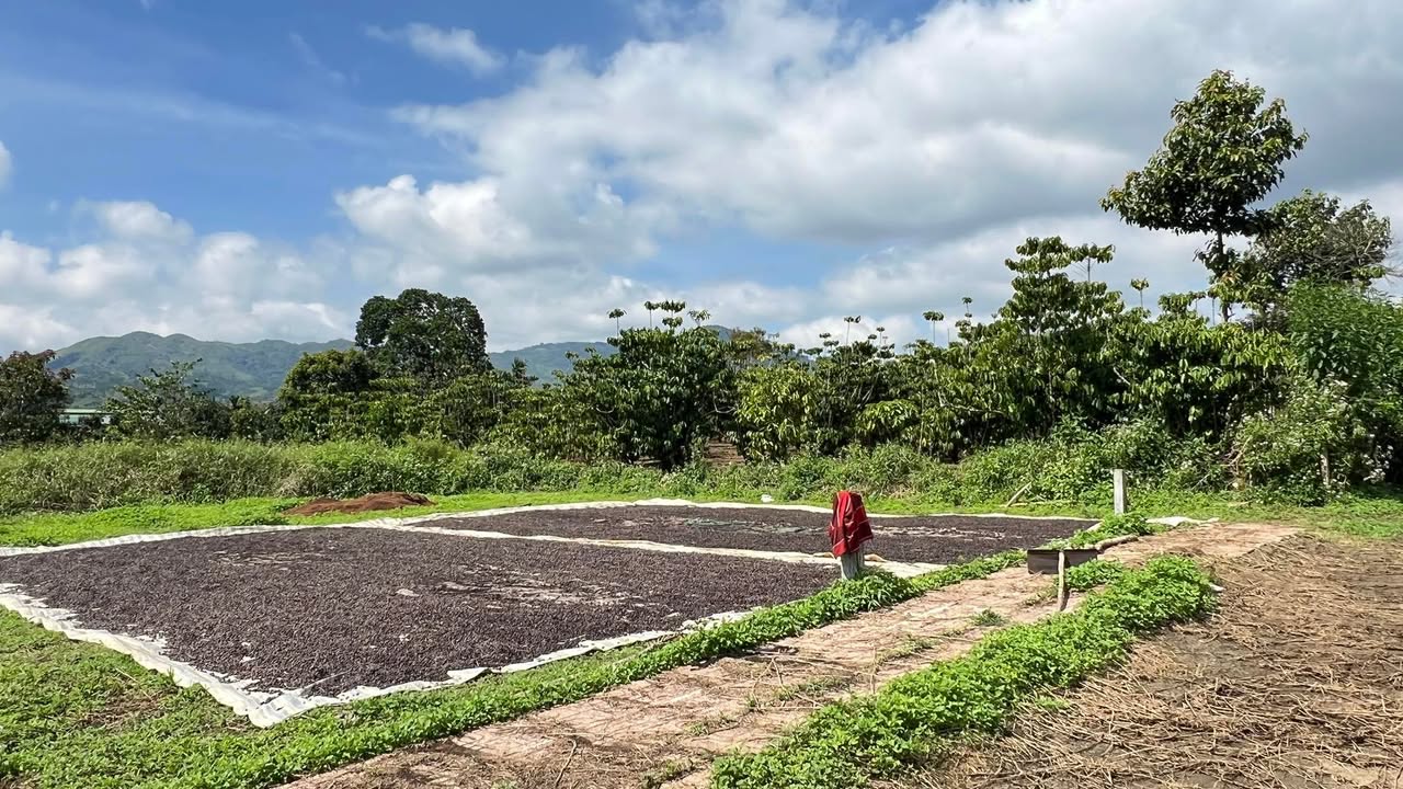 Đất thổ cư Lộc Thành, Bảo Lâm 190m² giá 430 triệu - Cơ hội đầu tư sinh lời!